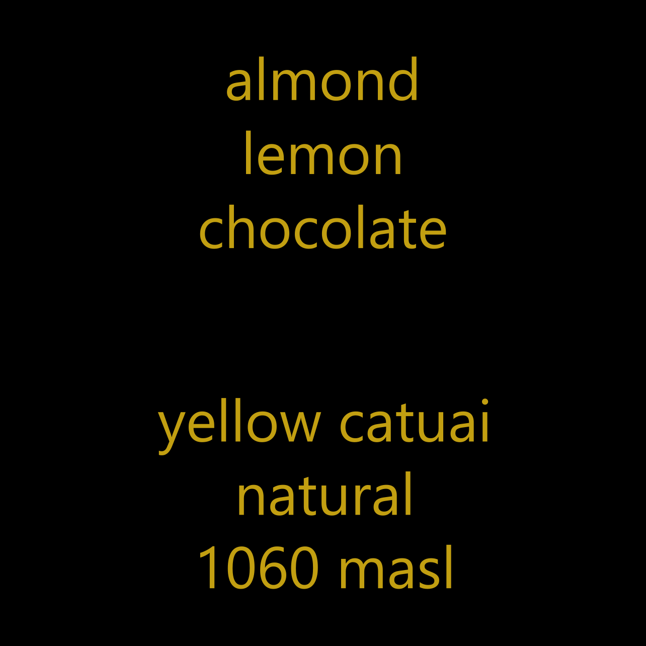 Cold Brew Roast (12 oz)