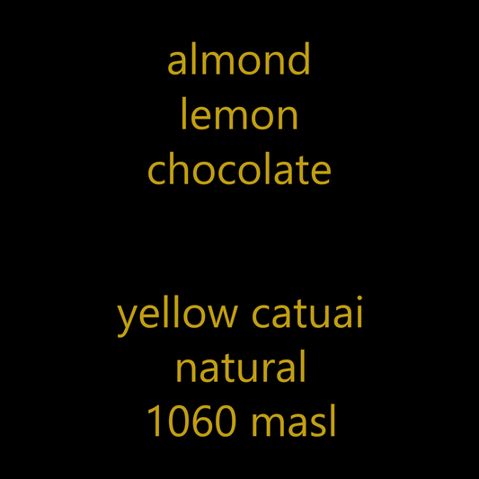 Cold Brew Roast (12 oz)